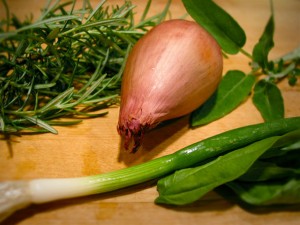 herbs-shallot-med