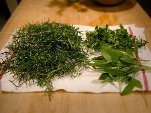 habits-herbs-sq